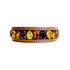 Liz Dog Collar Multi 2