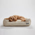 Lolly Lounge Dog Bed White