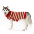 Marl Stripes Dog Sweater