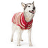 Marl Stripes Dog Sweater