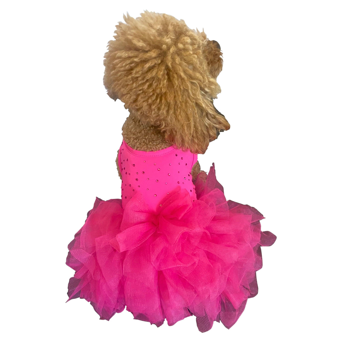 hot pink dog dress The Squad Miami Sparkle Tutu Filter-AgeGrade: 6Y+