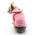 Modern Knit Dog Sweater