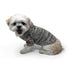 Modern Knit Dog Sweater