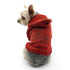 Modern Knit Dog Sweater