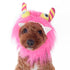 Monster Dog Hat