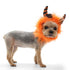 Monster Dog Hat Orange