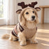 Moosey Hoodie Dog Sweater