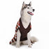 Mosaic Dog Sweater