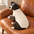 Natural Cable Knit Dog Sweater