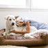 Natural Vintage Lounge Dog Bed