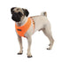 Neon Soft Dog Harness A