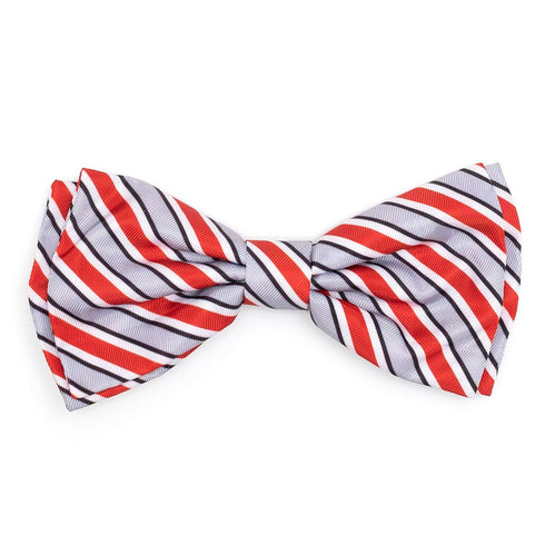 Ohio State Dog Bow Tie Helmet Stripe