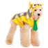 Owl Hoodie Dog Costume