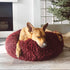 Pod Dog Bed