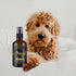 PROUD Dog Deodorizing Spray