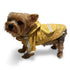 Pastel Pocket Dog Raincoat
