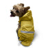 Pastel Pocket Dog Raincoat