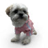 Pastel Pocket Dog Raincoat