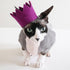 Pawty Dog Crown Brights