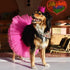 Pawty Dog Crown Brights
