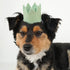 Pawty Dog Crown Lights