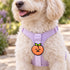 Peach Dog Jiby Dog Charm