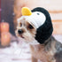 Penguin Dog Hat