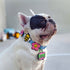 Pet Me Jiby Dog Charm