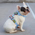 Pet Me Jiby Dog Charm