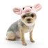 Piggy Dog Hat