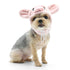 Piggy Dog Hat