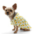 Pineapple Dog Shirt