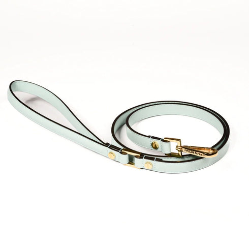 Plain Leather Dog Leash Cloud