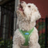 Plush Step In Air Mesh Dog Harness Grass Green