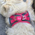 Plush Step In Air Mesh Dog Harness Shark Grey/Pink