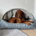 Portofino Chenille Canopy Dog Bed
