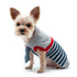 Preppy Necktie Dog Sweater