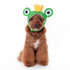 Prince Frog Dog Hat