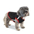 Puffer Dog Jacket