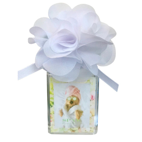 Pupcake Dog Perfume Spaw