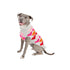 Puppy Love Dog Sweater