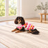 Puppy Love Dog Sweater