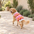 Puppy Love Dog Sweater