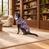 Purple Woodstock Dog Sweater