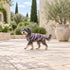 Purple Woodstock Dog Sweater