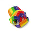 Rainbow Dog Hat