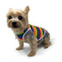 Rainbow Dog Tank