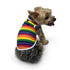 Rainbow Dog Tank