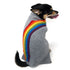 Rainbow Turtleneck Dog Sweater