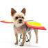Rainbow Wings Dog Costume